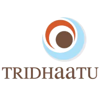 logo1